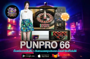 punpro 66